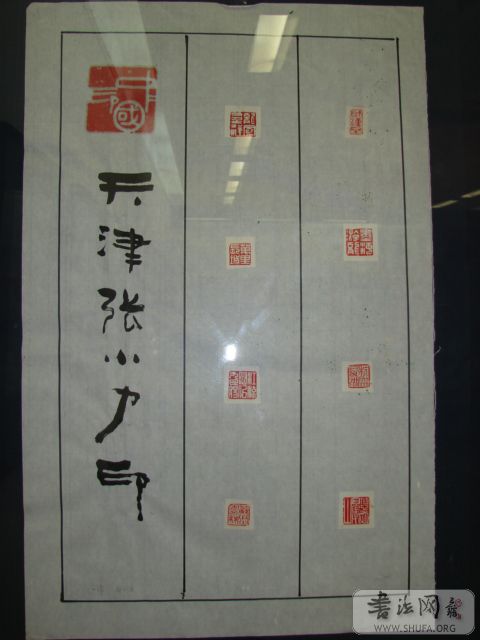 DSC01518.JPG