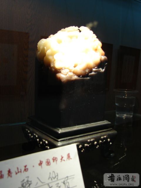 DSC01599.JPG