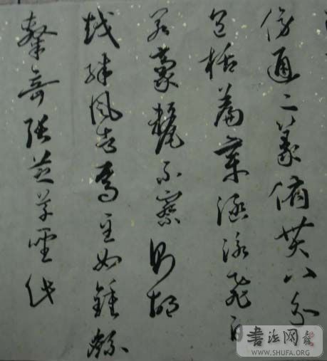 DSC01065.JPG