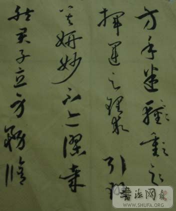DSC01077.JPG