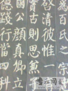 IMG0138A.jpg
