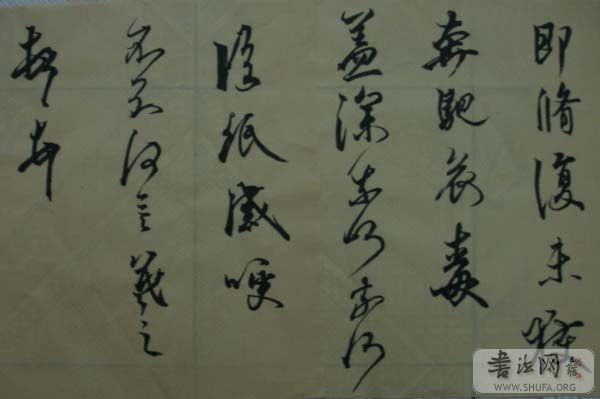 DSC01091.JPG