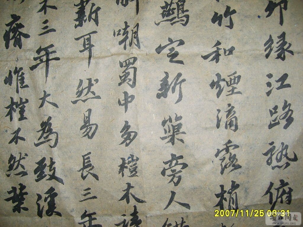 S6006351.JPG