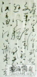 407.jpg1235.jpg