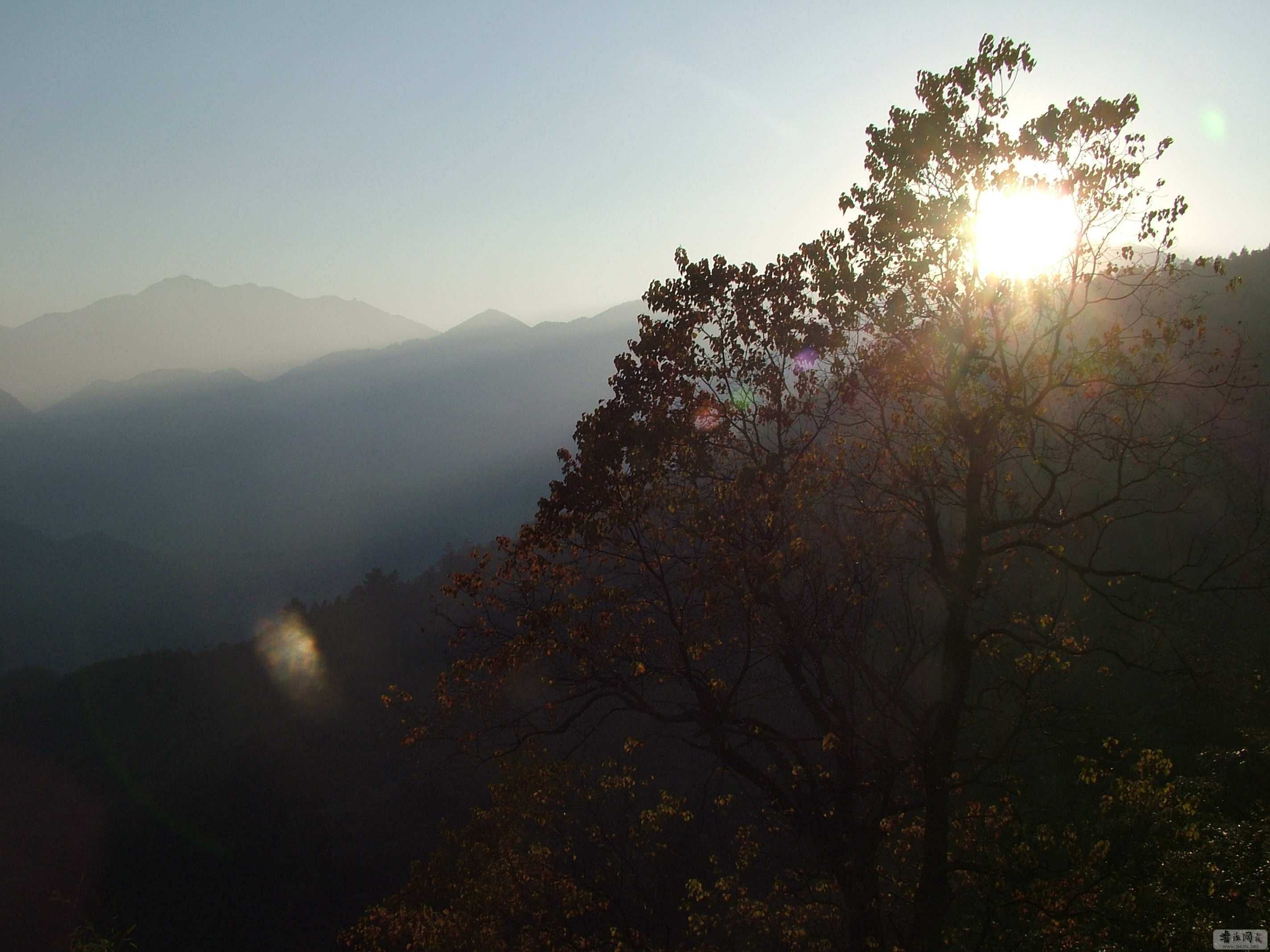 DSCF8004.JPG