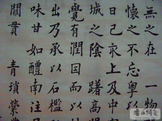 DSC00490.JPG