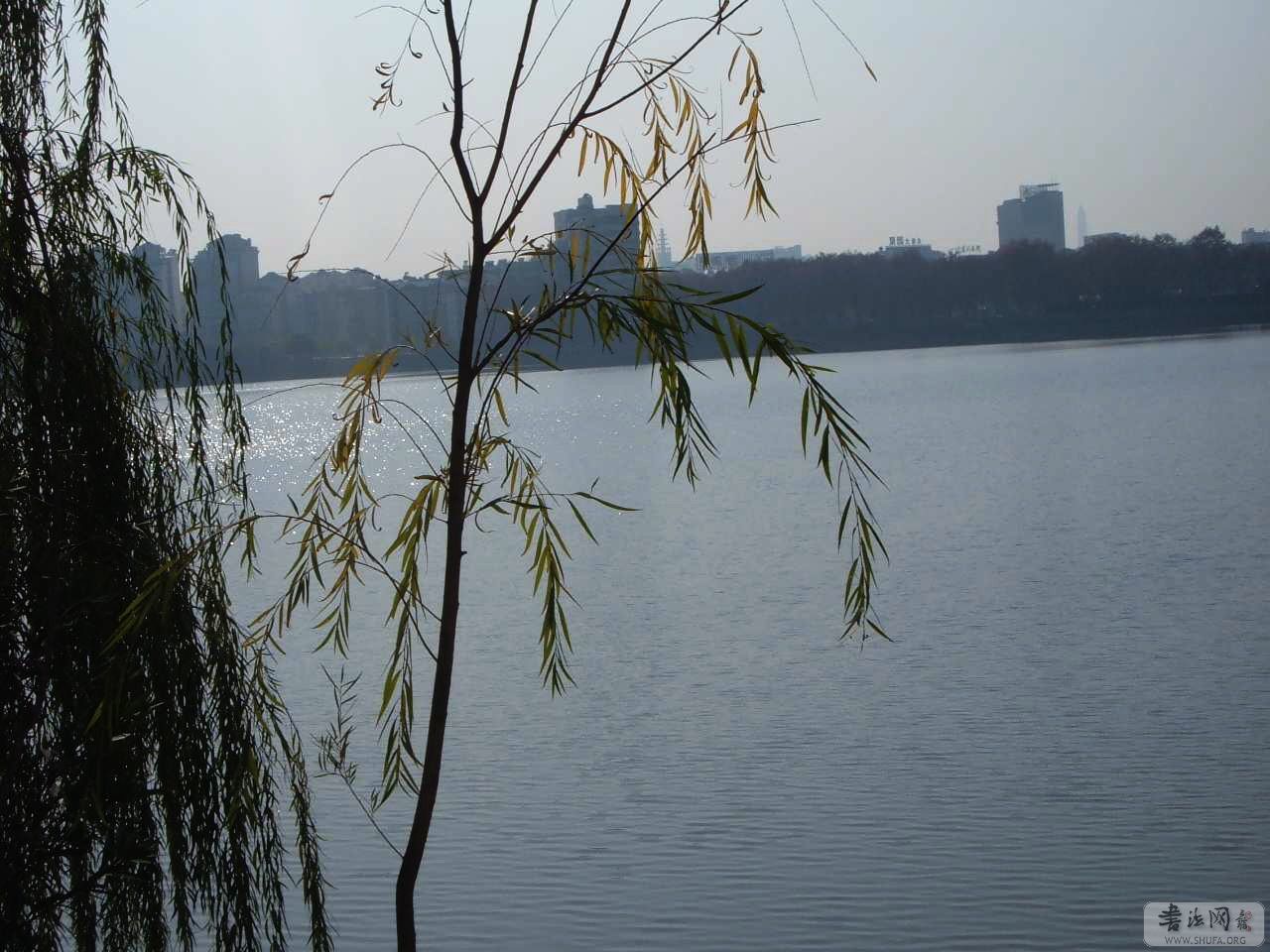 DSCF6332.jpg