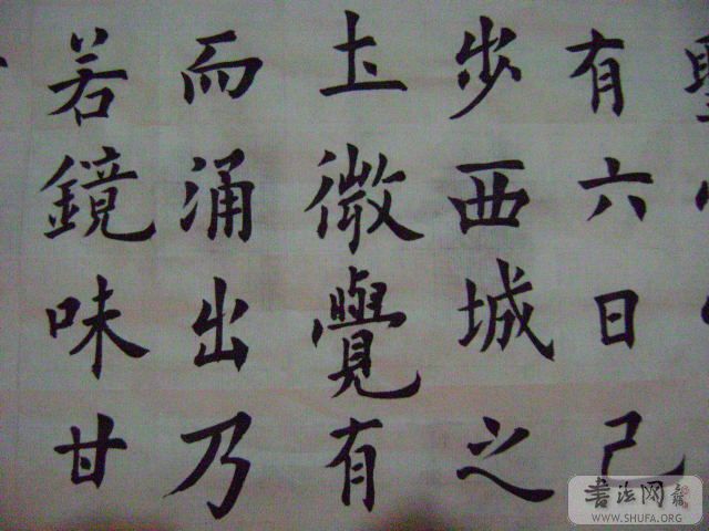 DSC00492.JPG