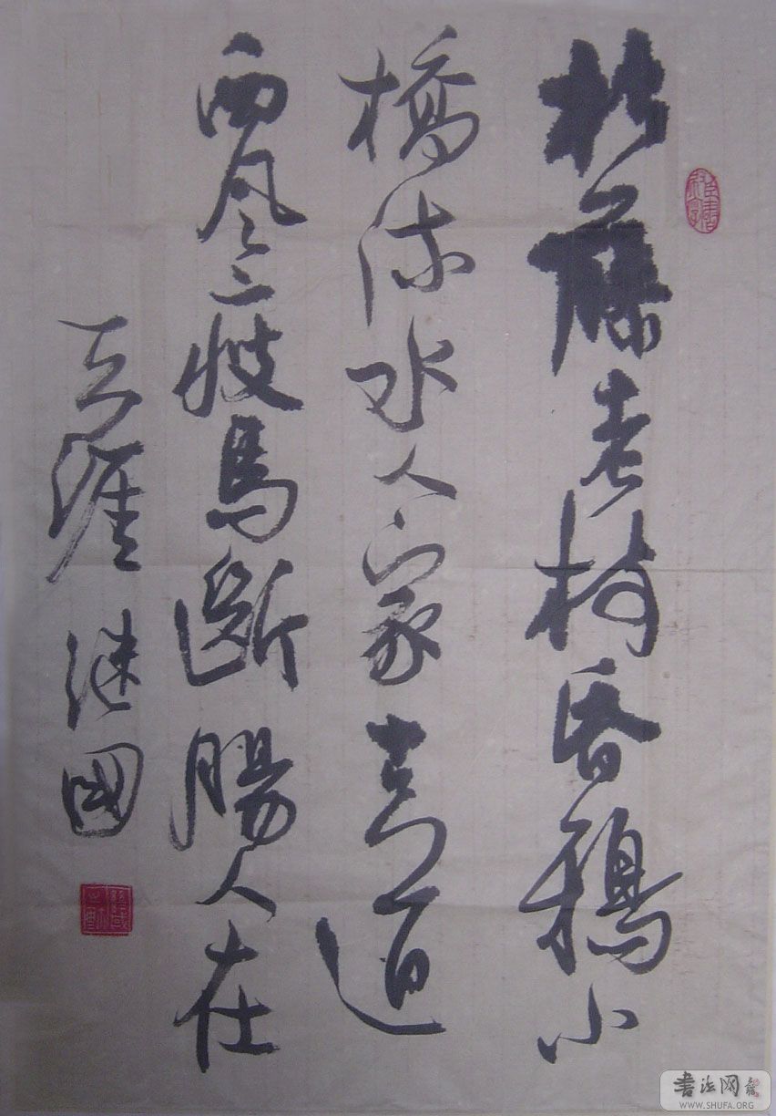 SC05507.jpg