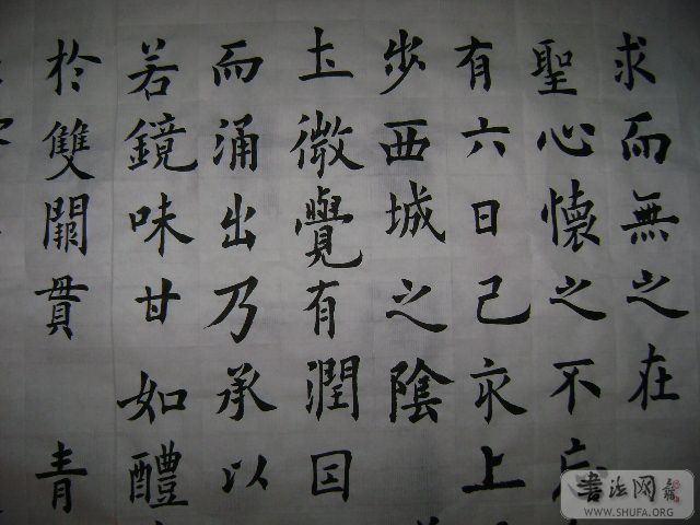 DSC00486.JPG