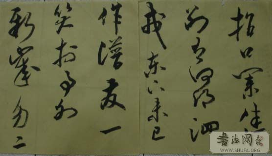 DSC01123.JPG