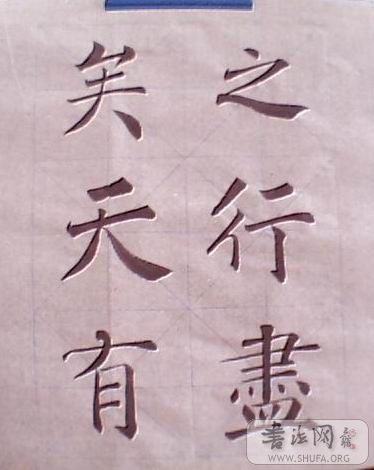 ָͨ