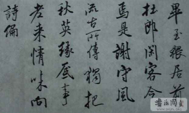 DSC01128.JPG