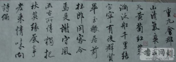 DSC01126.JPG