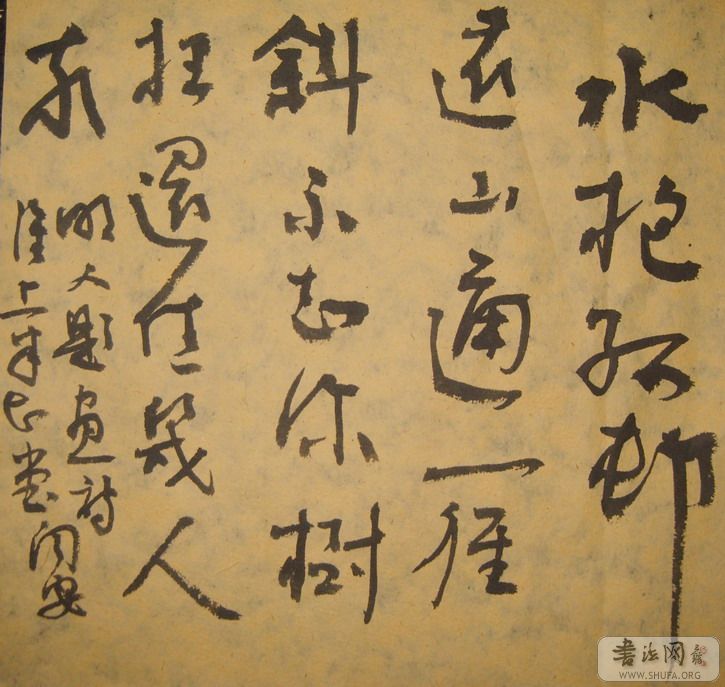 S8004242.jpg