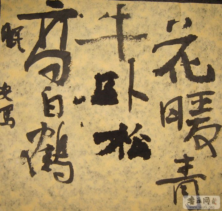 S8004235.jpg
