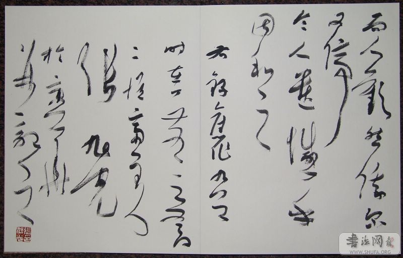 DSCF4264.jpg