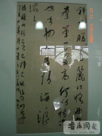 CIMG1221.JPG