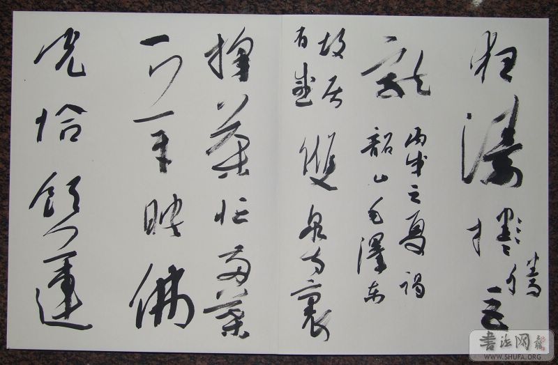 DSCF4255.jpg