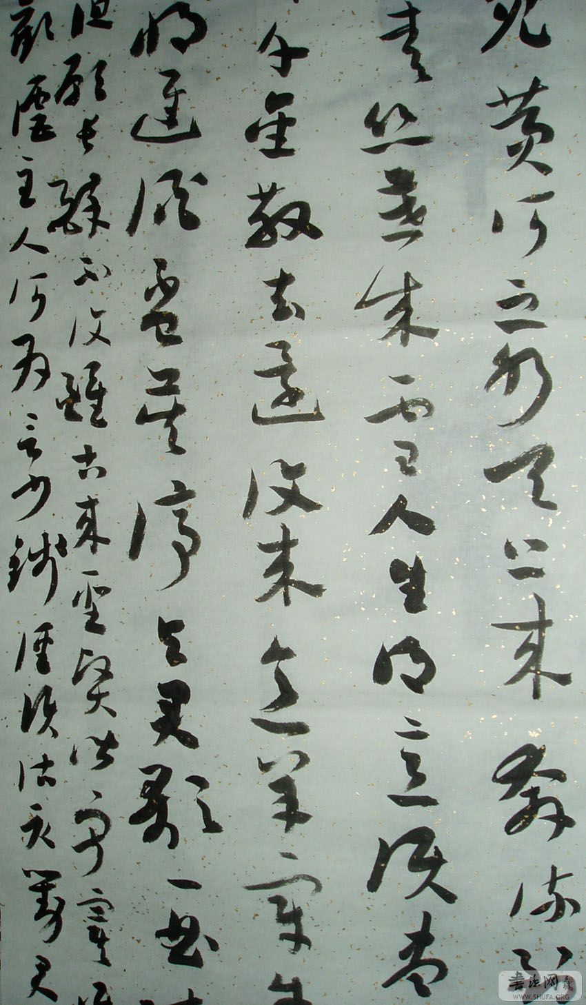 P1010207.JPG