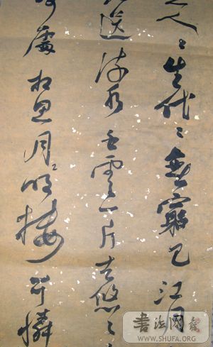 DSCN0017.JPG