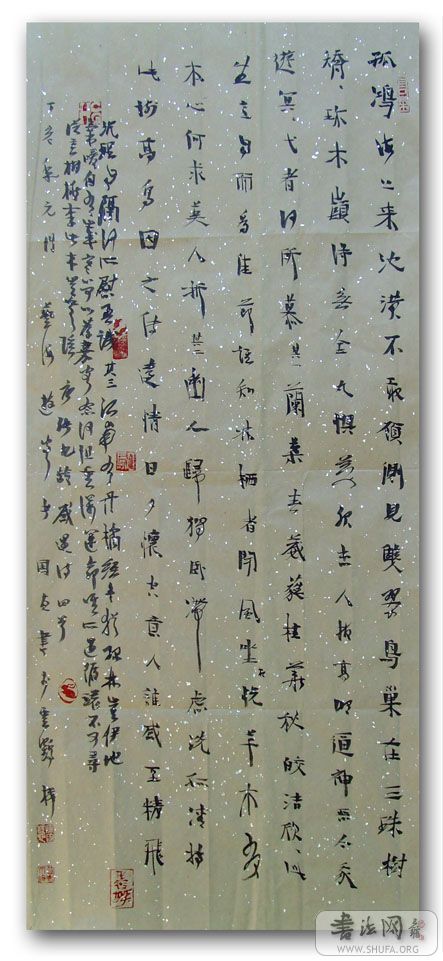 SNV001 (14).jpg