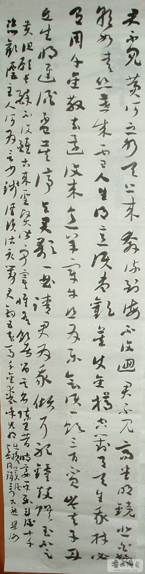 P1010206.JPG