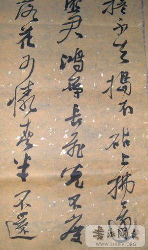 DSCN0016.JPG