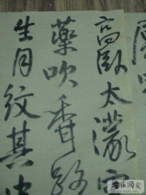 DSC02780.JPG