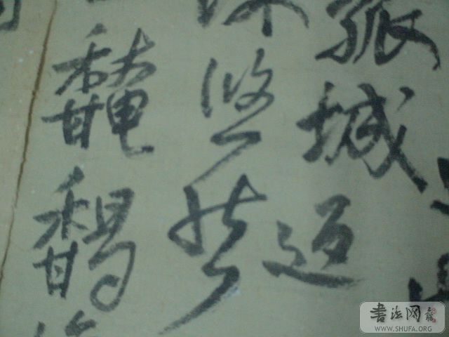 DSC02775.JPG