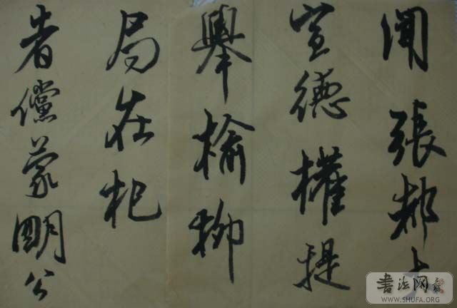 DSC01156.JPG