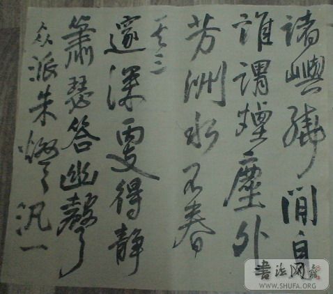 DSC02769.jpg