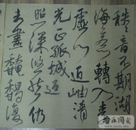 DSC02767.jpg