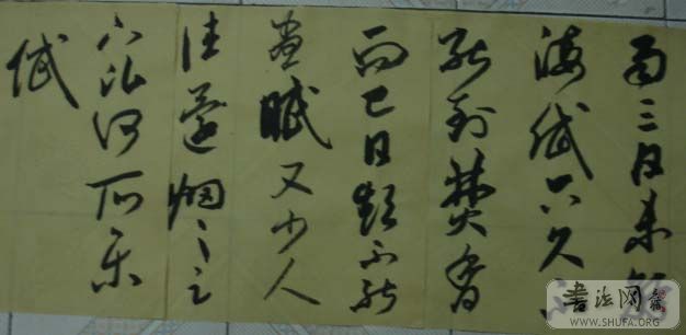DSC01151.JPG