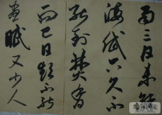 DSC01153.JPG