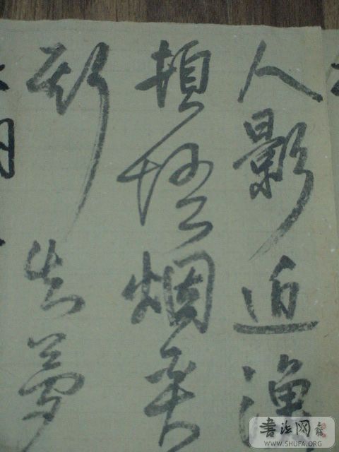 DSC02779.JPG