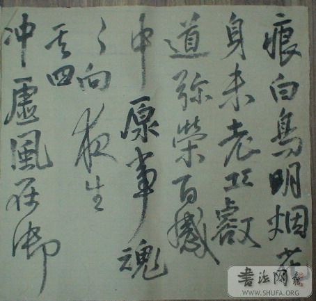 DSC02770.jpg
