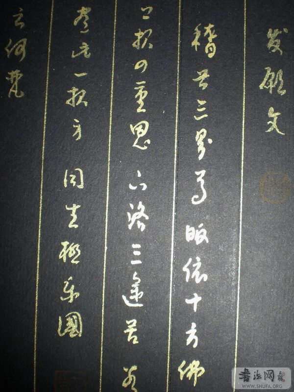 131.JPG