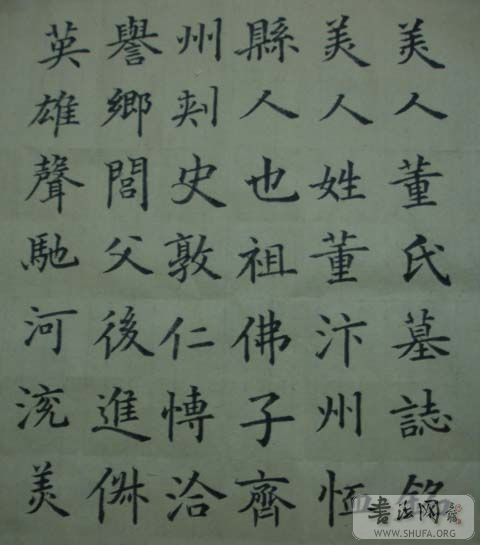 DSC01174.JPG