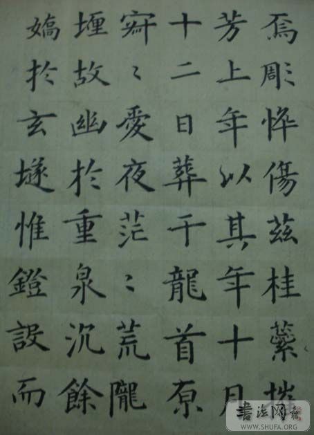 DSC01181.JPG