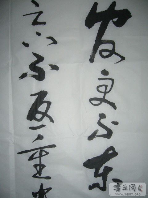 P1000424.JPG