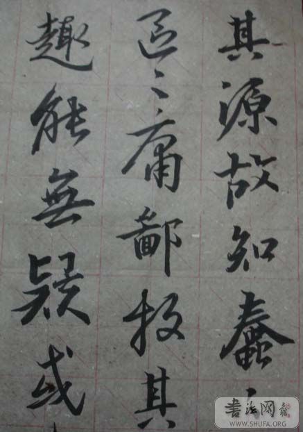 DSC01240.JPG