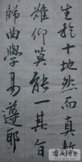 DSC01248.JPG