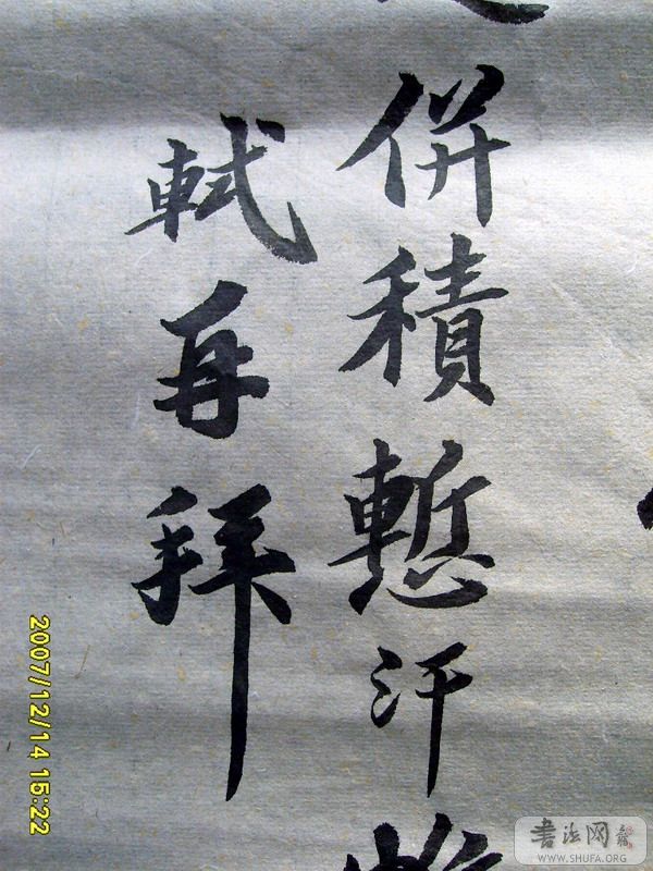 S6006396.JPG