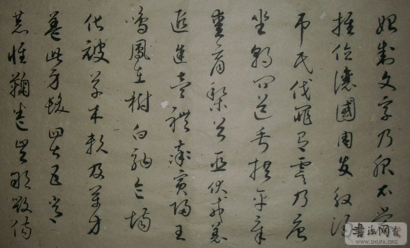DSCI0063.JPG