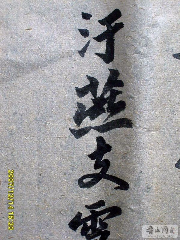 S6006386.JPG