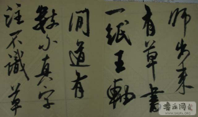 DSC01257.JPG
