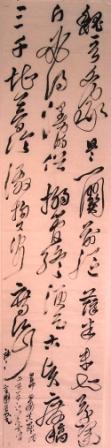 SNV10553.JPG