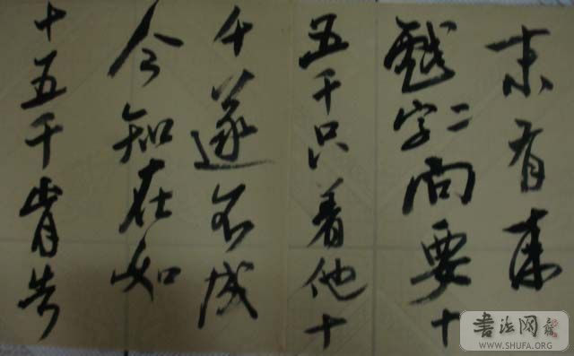 DSC01258.JPG