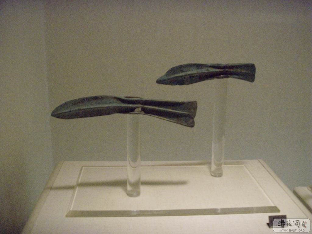 С SNV30699.JPG